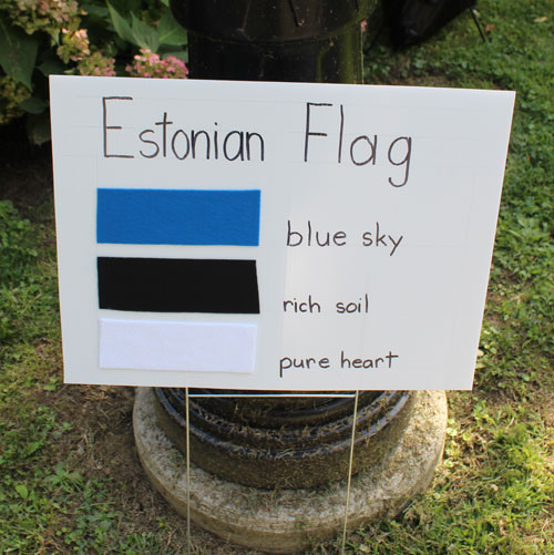 Estonian Flag on One World Day